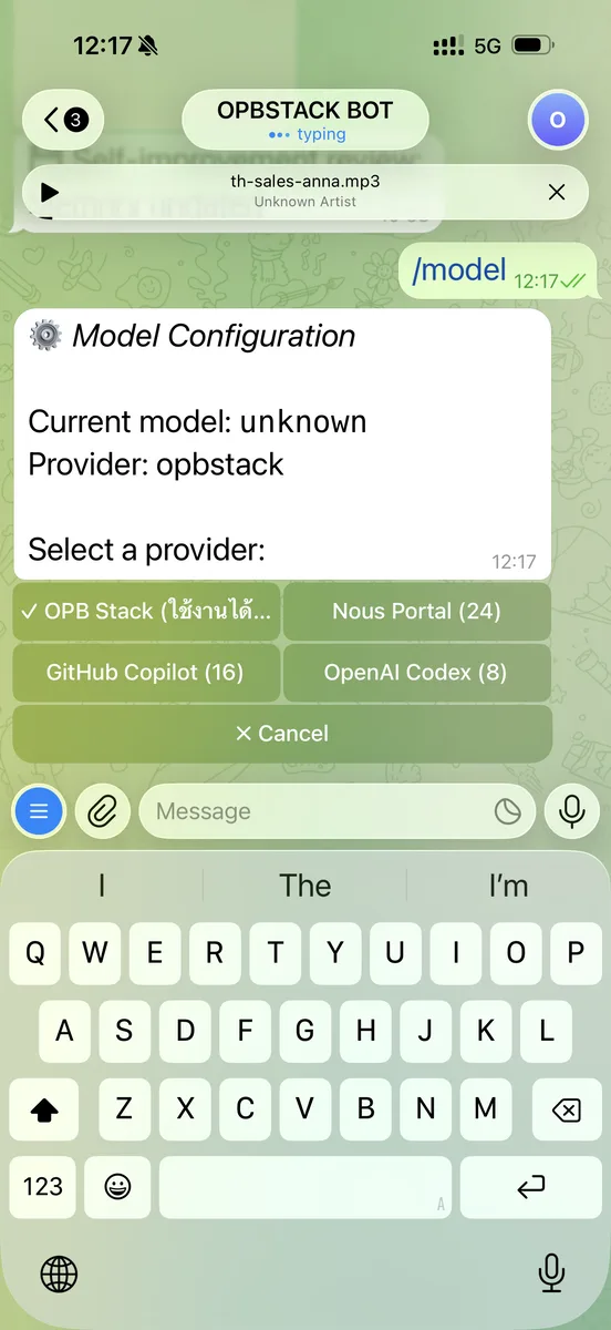 ใช้คำสั่ง /model ใน Telegram