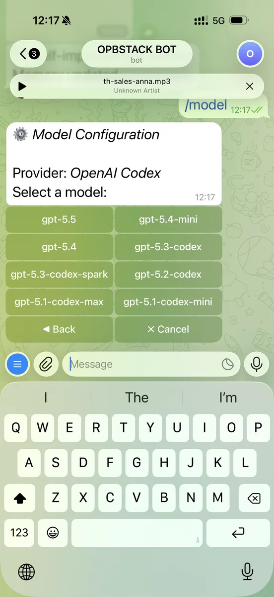 เลือกโมเดลจาก Telegram